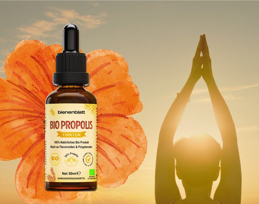 Uses of Propolis as a Natural Medicine Remedy