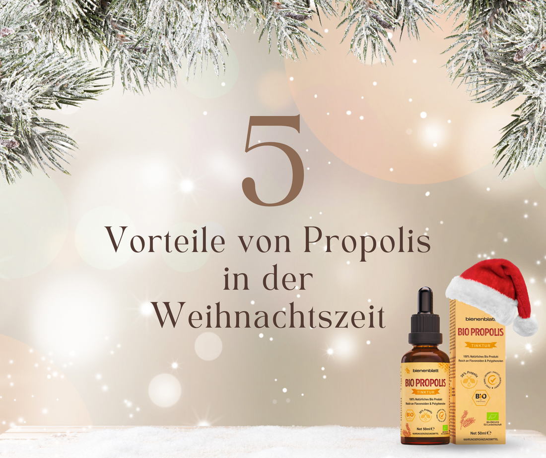 5 Benefits of Propolis During the Christmas Season